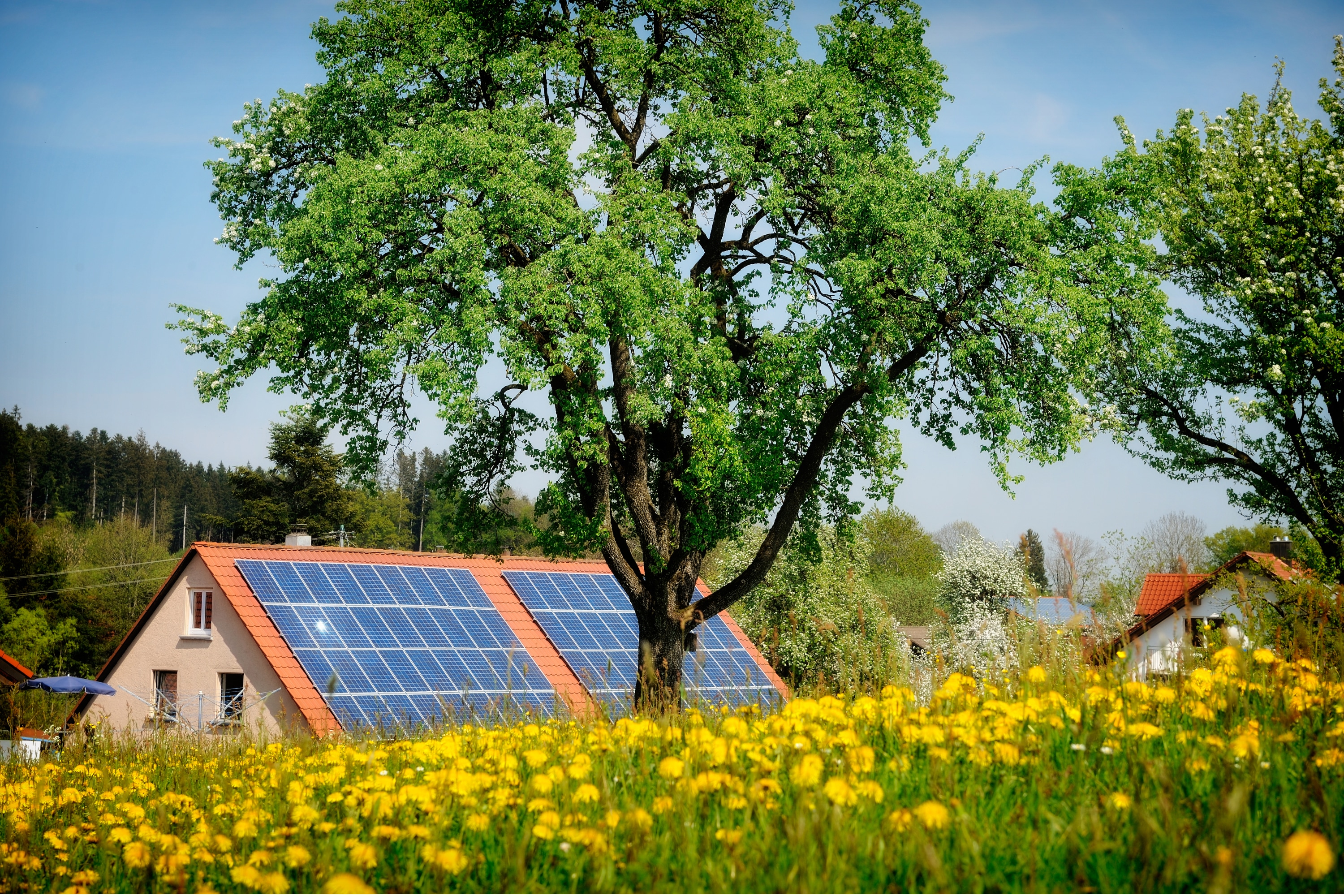 avantages panneaux solaires