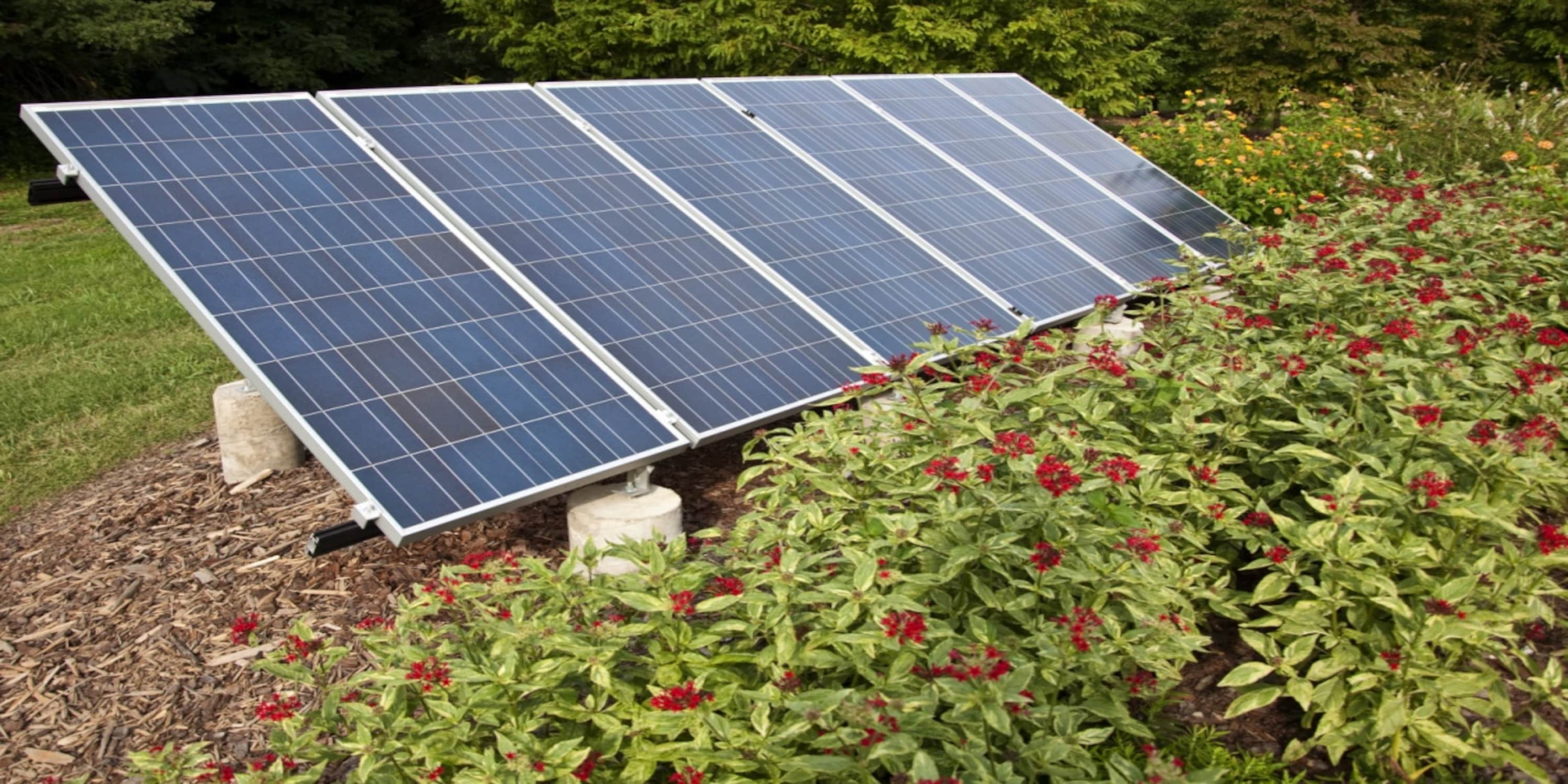 Panneaux solaires dans le jardin : un bon choix ?